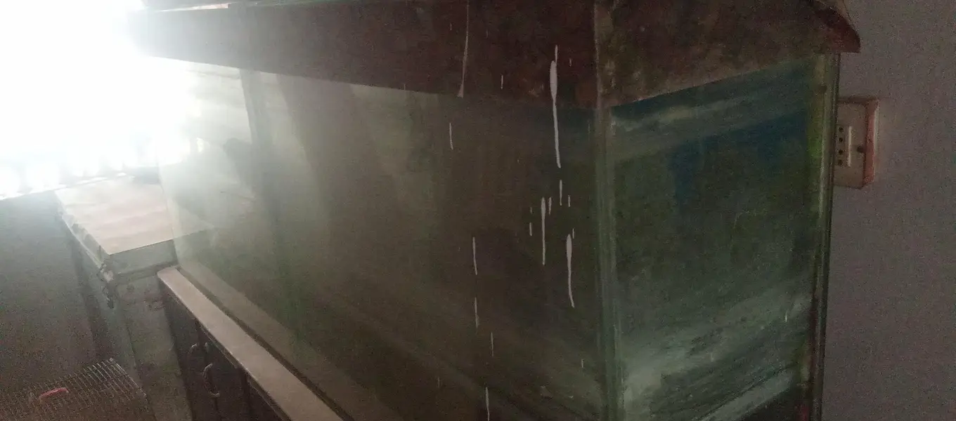 fish tank for sale — photo 2