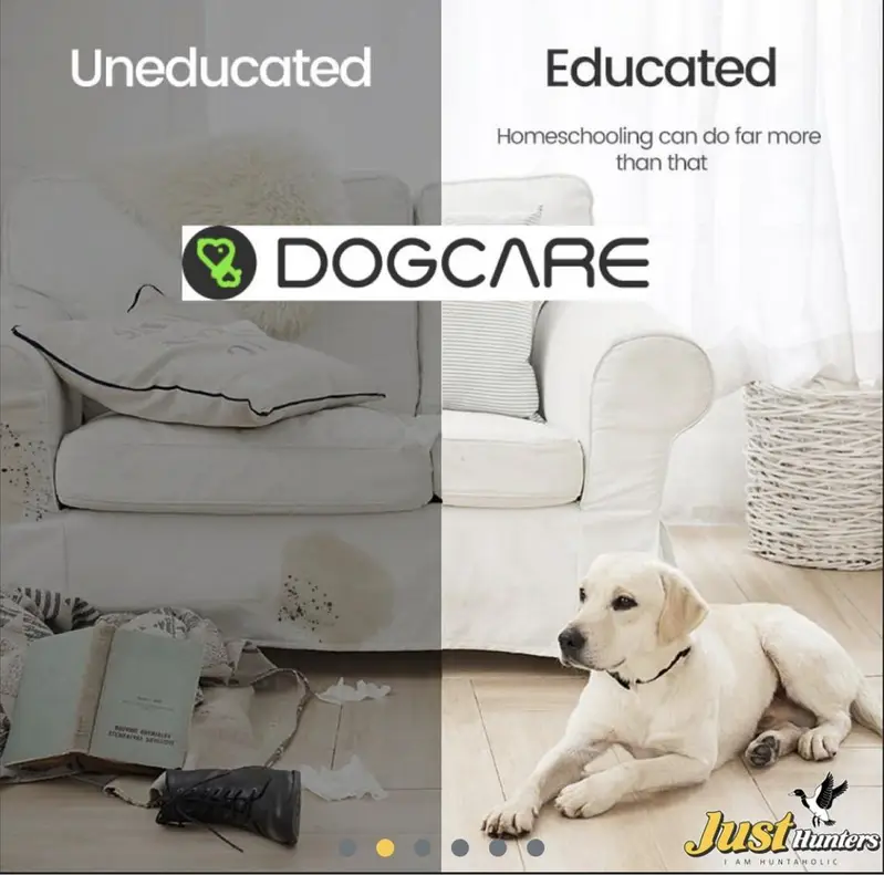 Dog Care Advance Dog Training E-Collar — photo 6