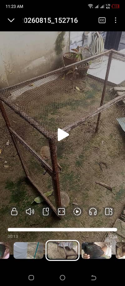 metal cage frame