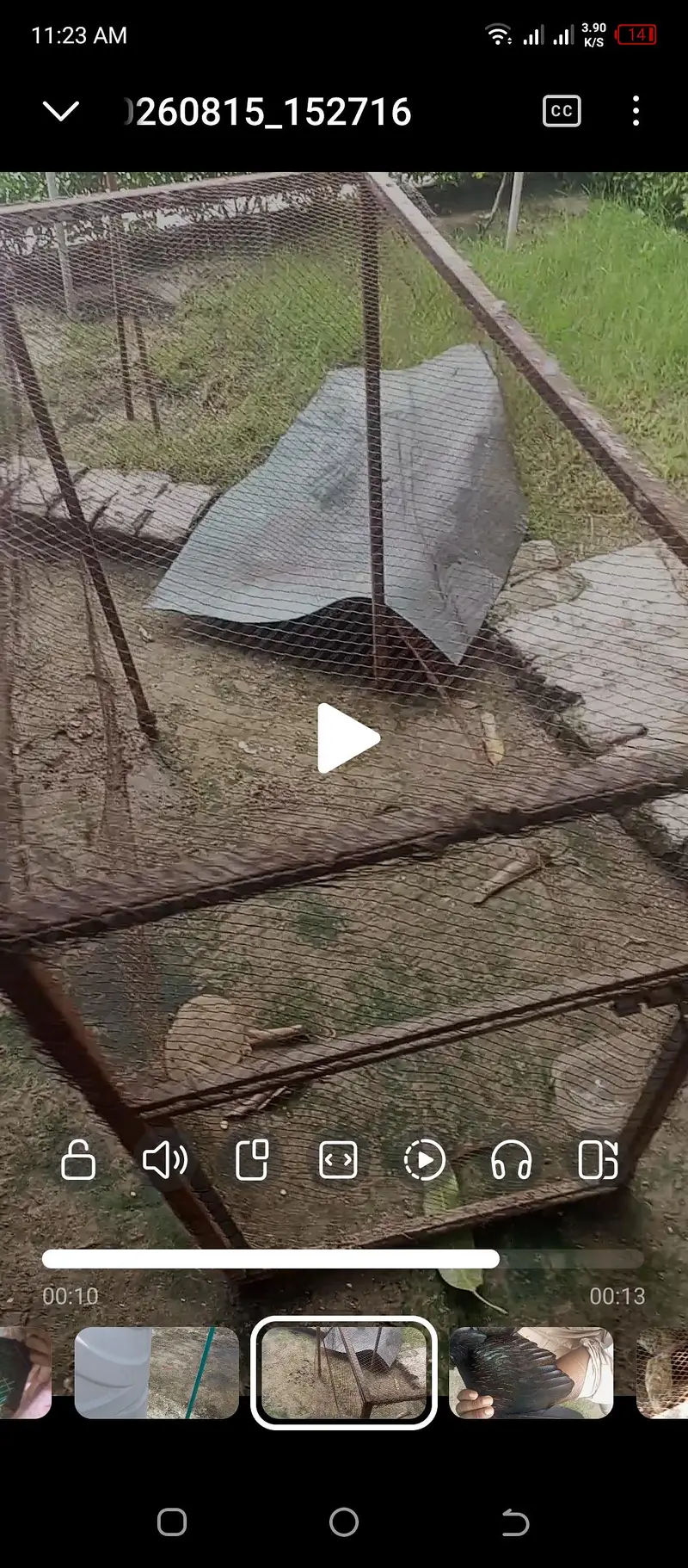 metal cage frame — photo 2