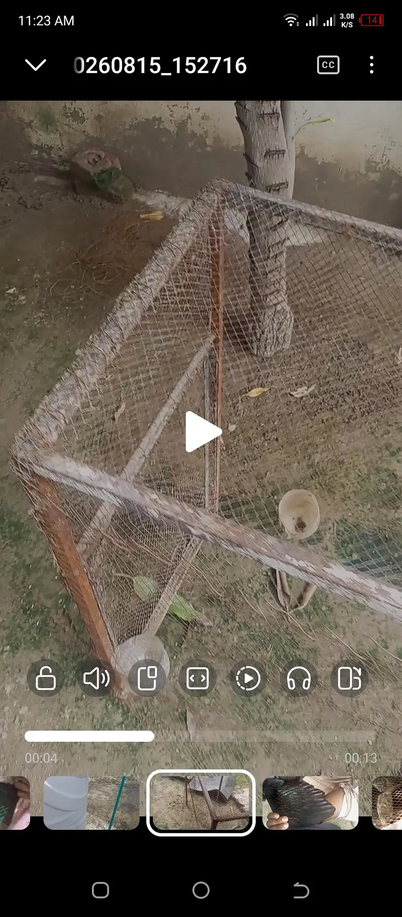 metal cage frame — photo 3