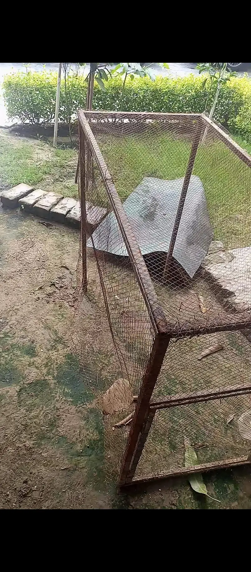 metal cage frame — photo 5
