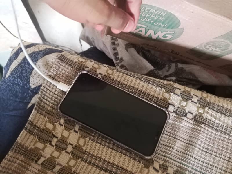 Apple iPhone 12 1