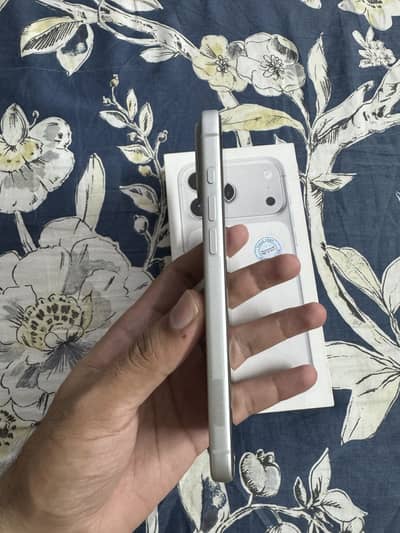 Apple iPhone 17 Pro Max Silver Colour