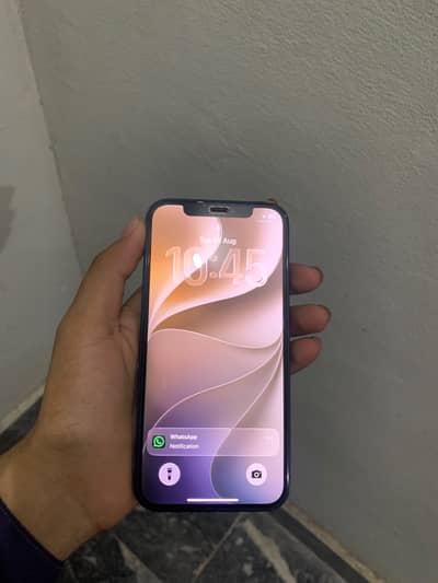 Apple iPhone 12
