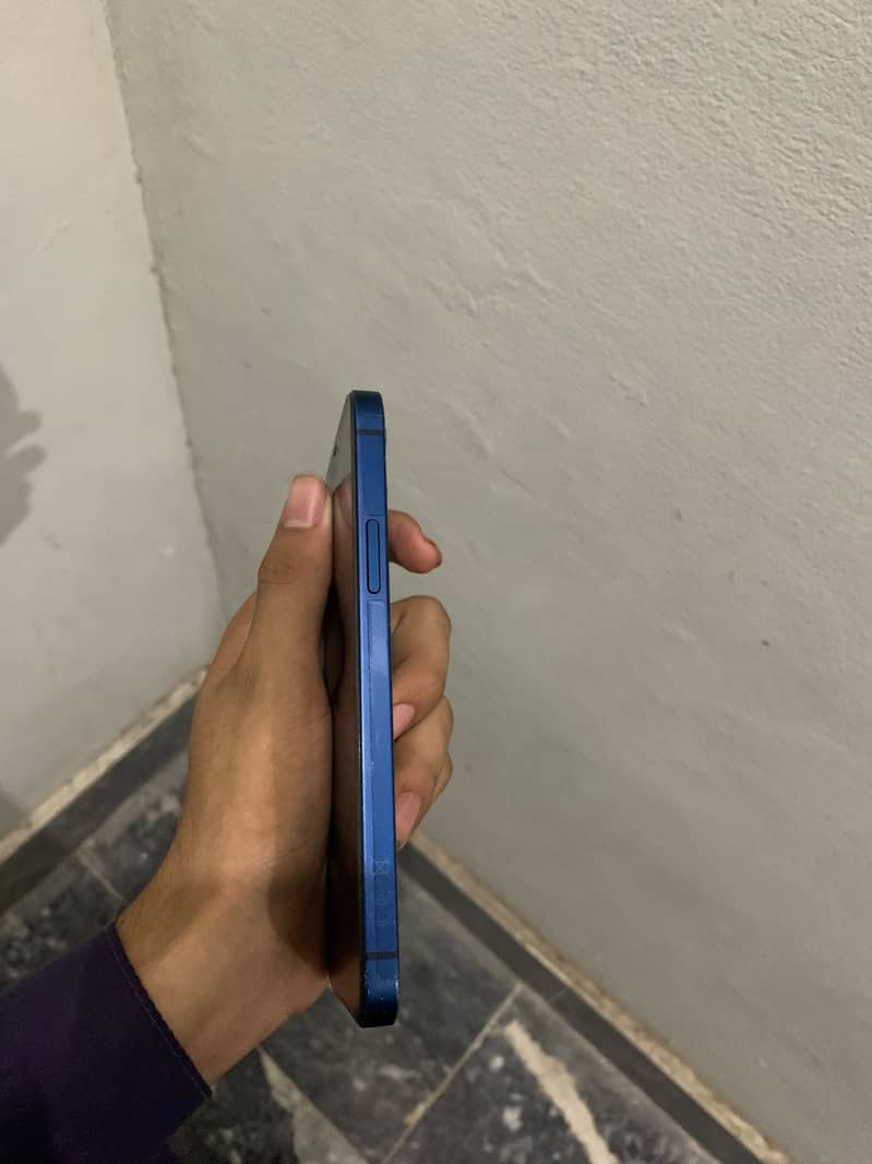 Apple iPhone 12 1