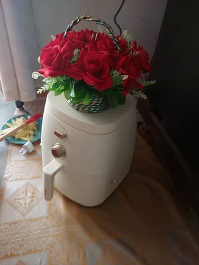 Srue Air fryer