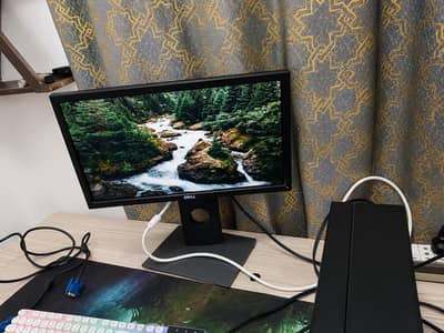 Dell LCD 19 Inch Monitor P2017H