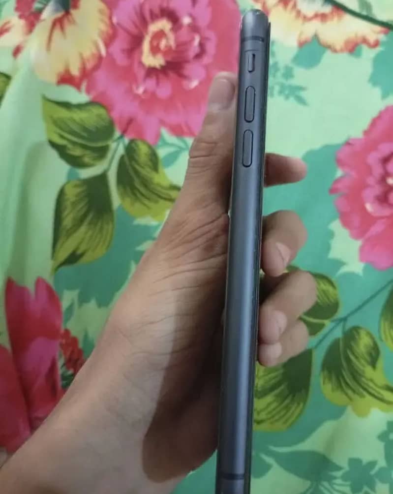 Apple iPhone 11 2