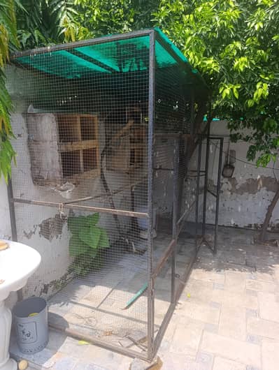 Cage length 7 feet width 4 feet height 6.5 feet