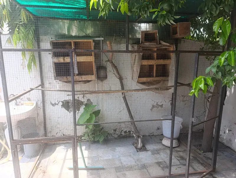Cage length 7 feet width 4 feet height 6.5 feet — photo 2