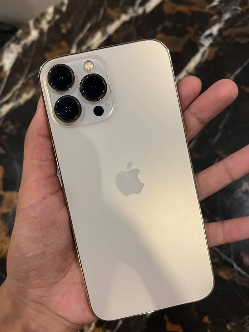 Apple iPhone 13 Pro Max 1