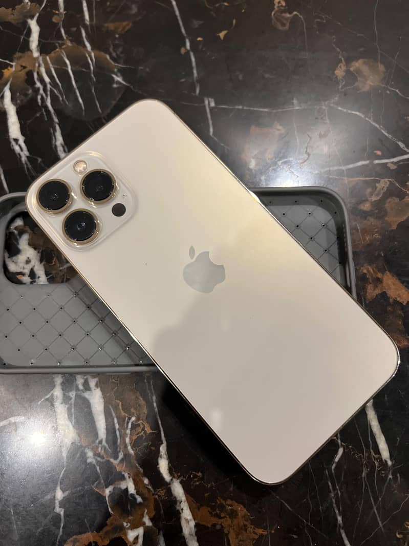 Apple iPhone 13 Pro Max 2
