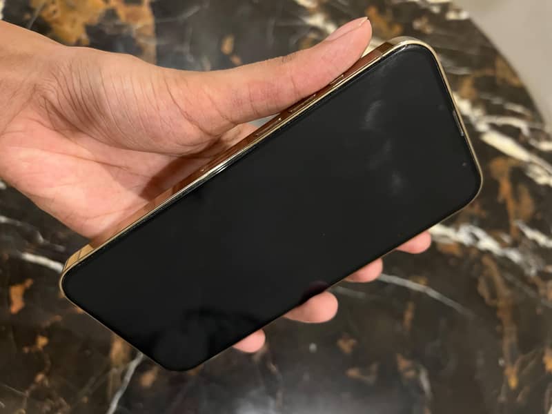 Apple iPhone 13 Pro Max 5
