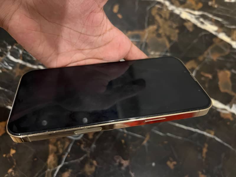 Apple iPhone 13 Pro Max 6