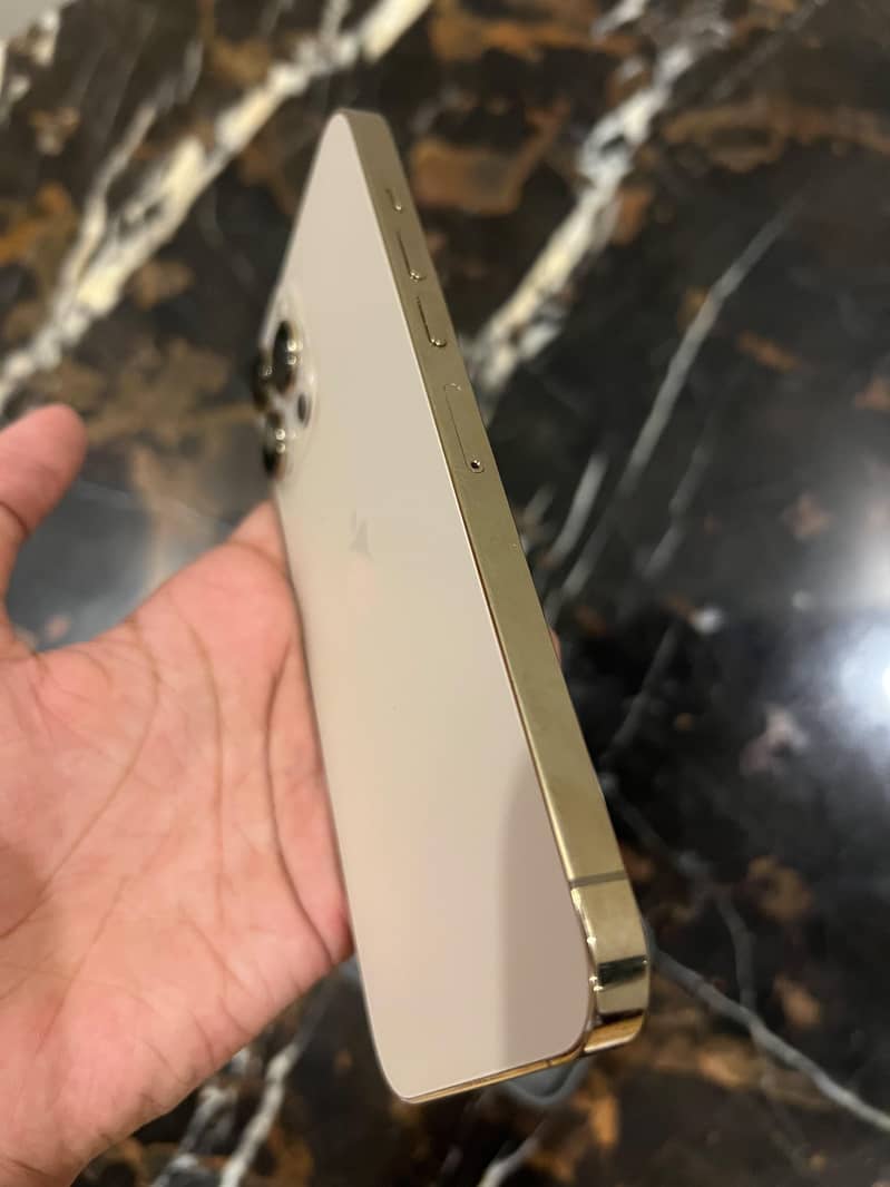 Apple iPhone 13 Pro Max 7