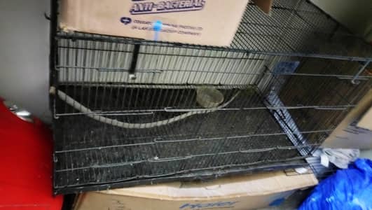 Cages