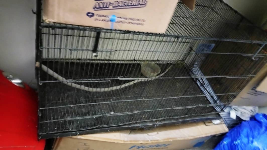 Cages 0