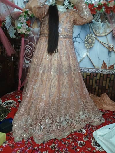 Nikkah Maxci