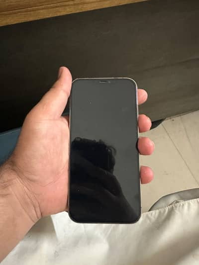 Apple iPhone 12 Pro Max