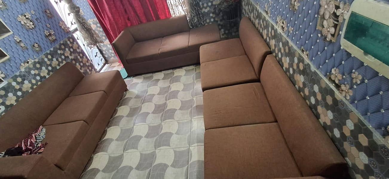 zain subhani 3