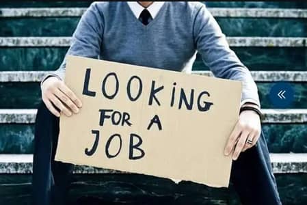 I want to need any job