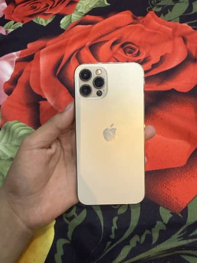 Apple iPhone 12 Pro