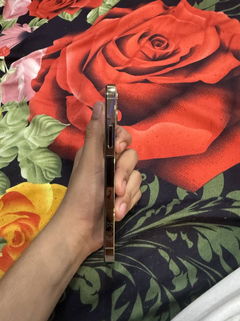 Apple iPhone 12 Pro 1