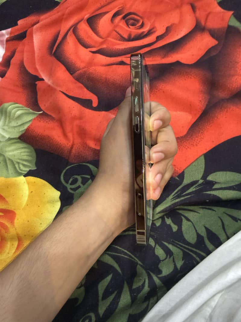 Apple iPhone 12 Pro 2