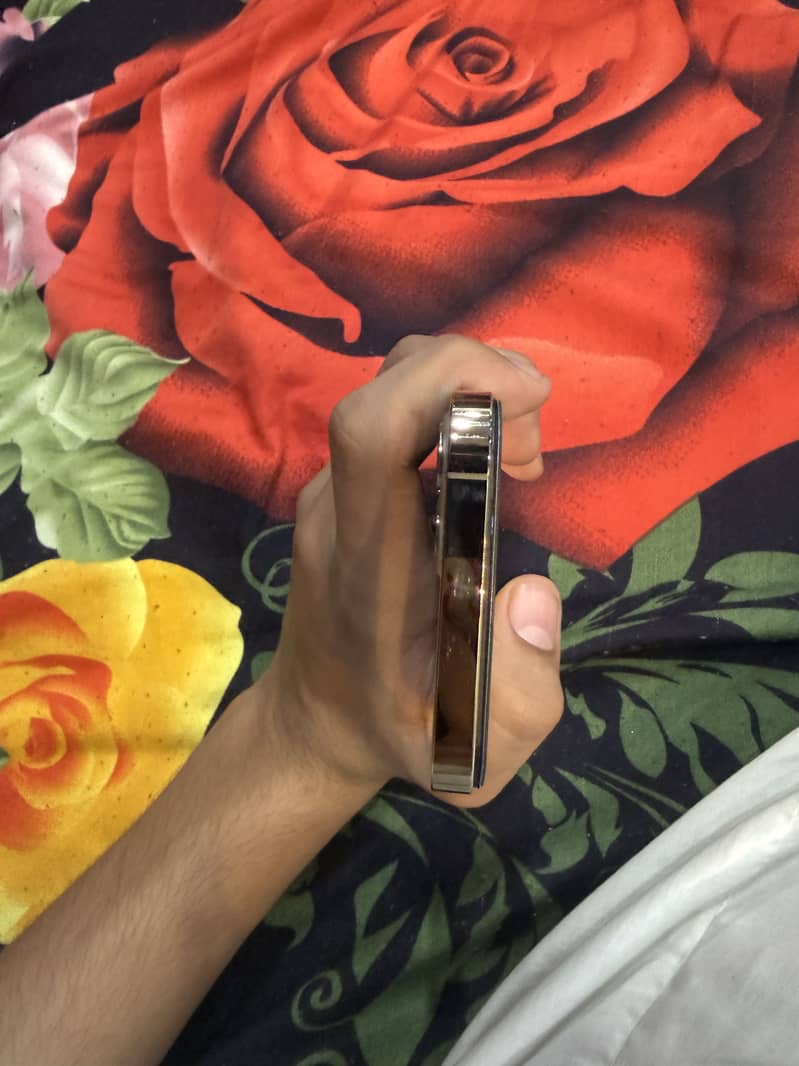 Apple iPhone 12 Pro 3