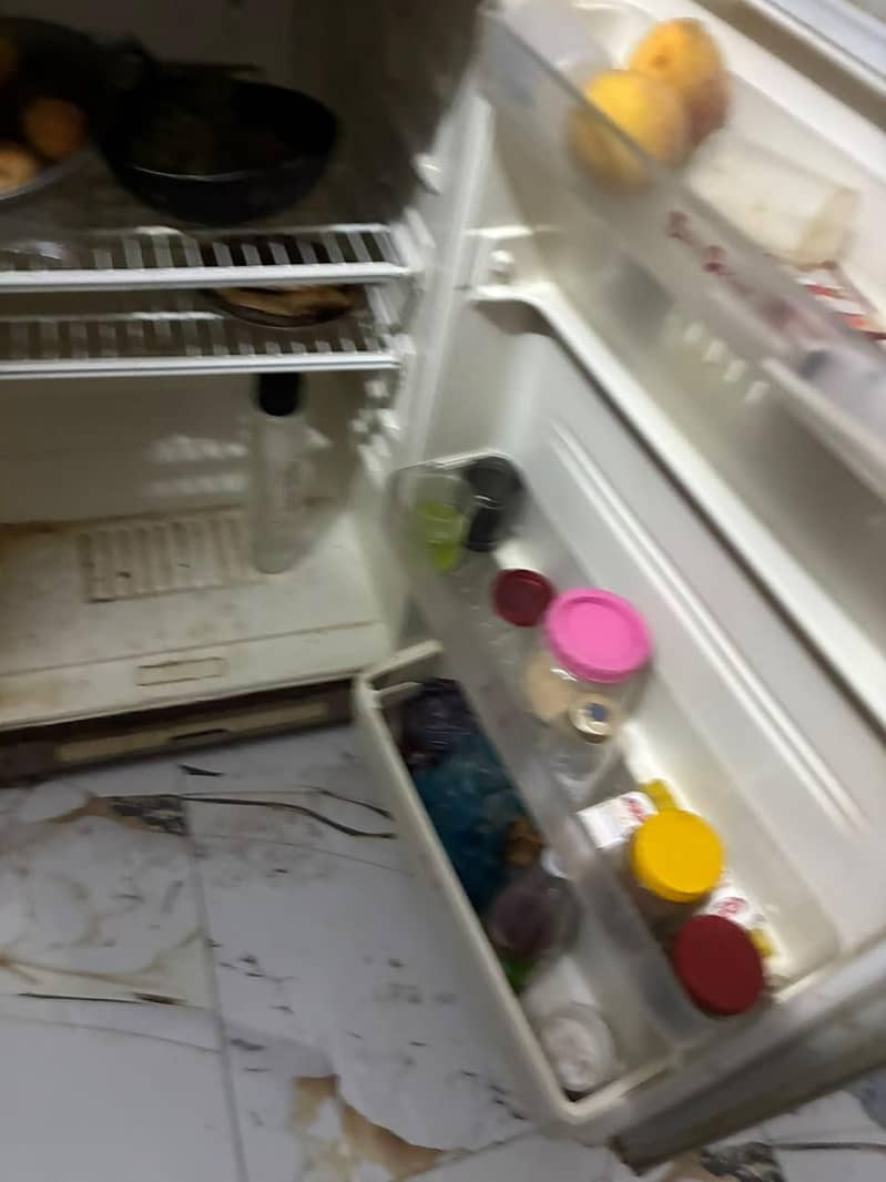 گابا نیشنل کا فرج دستیاب ہے 1