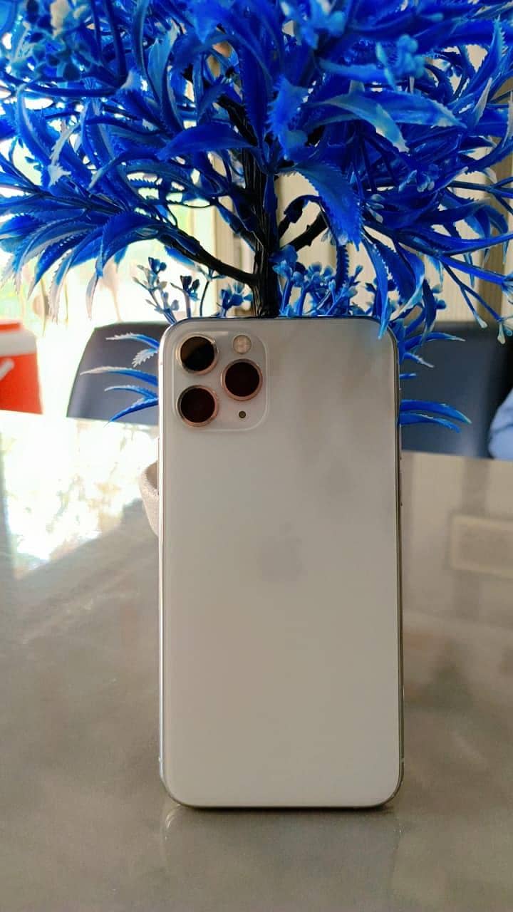 Apple iPhone 11 pro 1