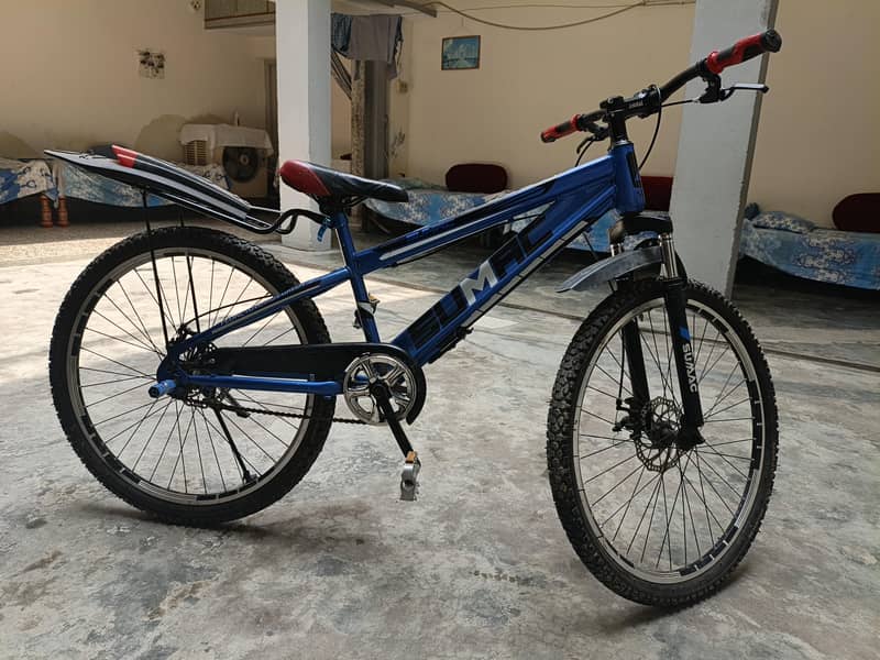24 inch sumac bicyle 2