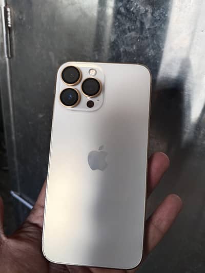 Apple iPhone 13 Pro Max