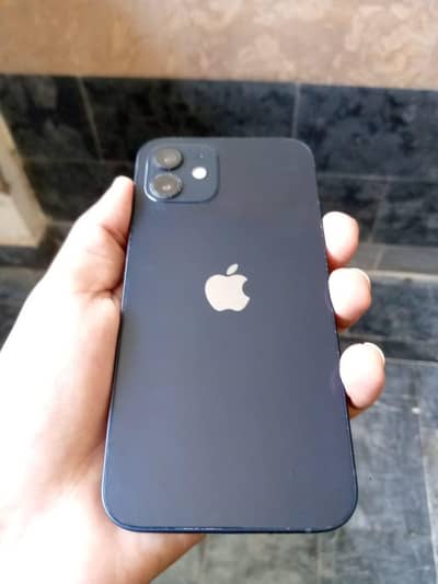 Apple iPhone 12