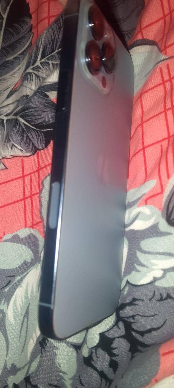 Apple iPhone 13 Pro Max 1