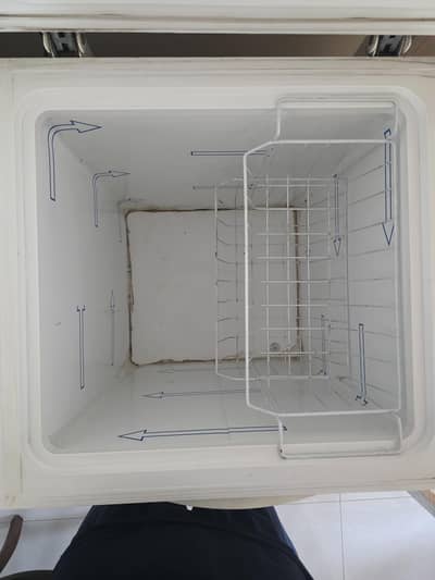 Dawlence signature deep Freezer