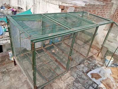 birds cage