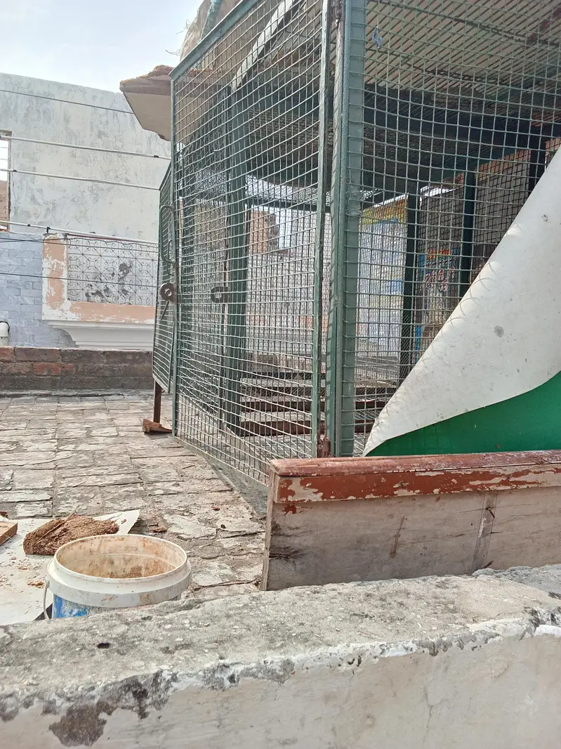 birds cage — photo 2