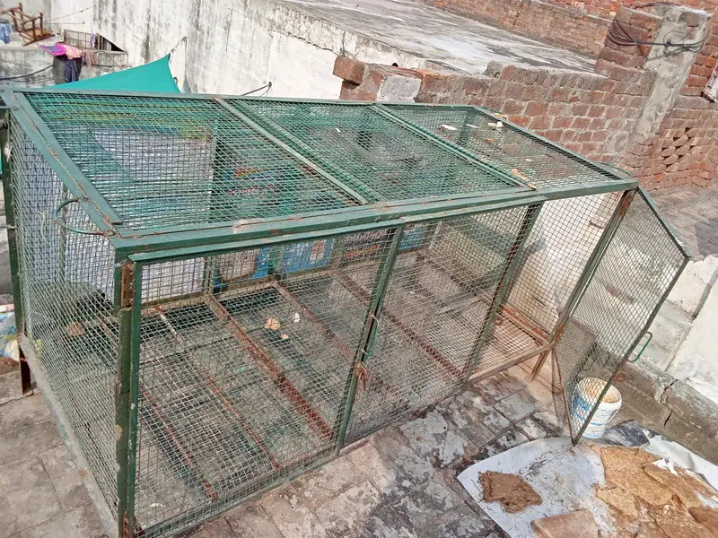 birds cage — photo 3
