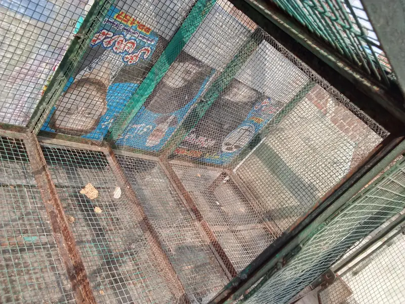 birds cage — photo 4