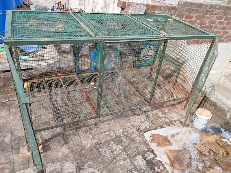 birds cage — photo 5