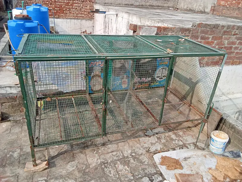 birds cage — photo 6