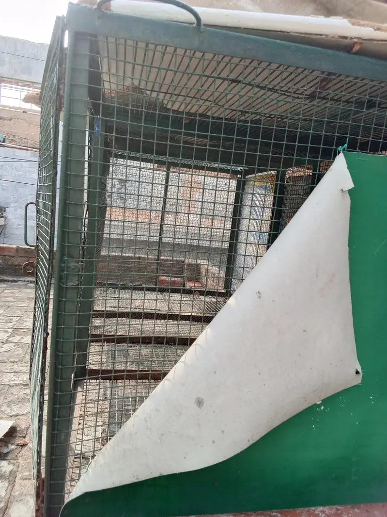 birds cage — photo 7