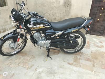 Yamaha ybr 2020 Model