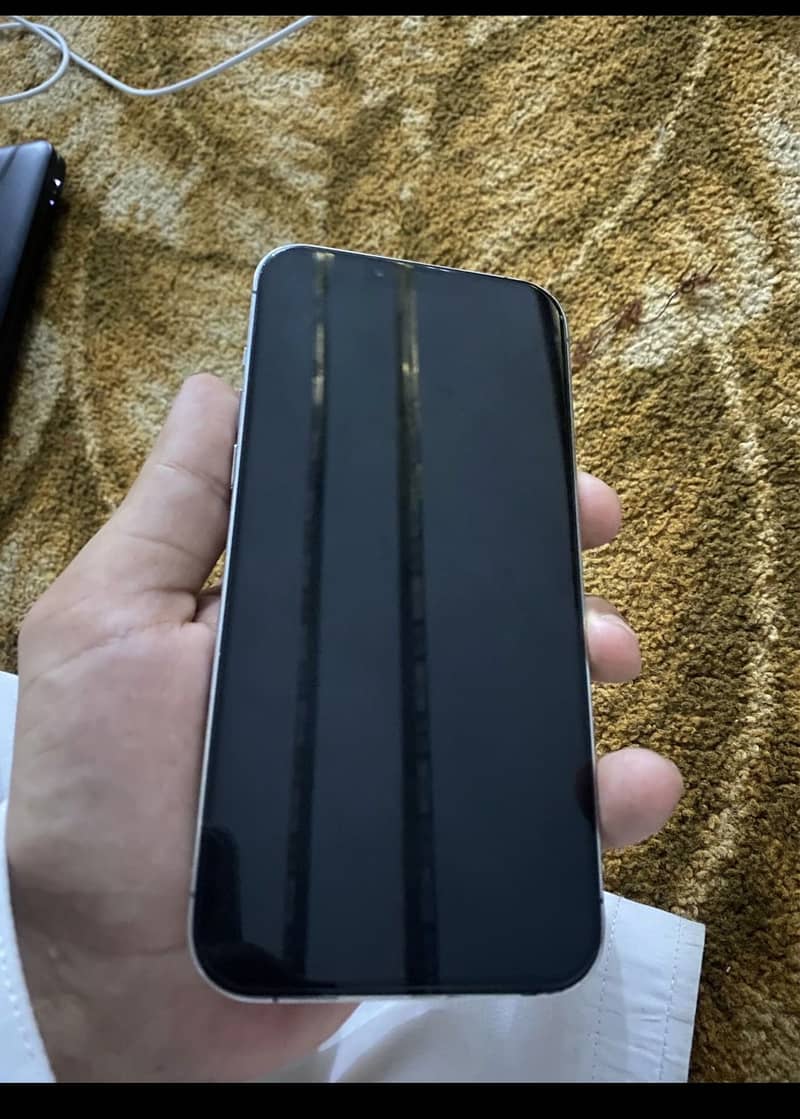 Apple iPhone 13 Pro Max 1