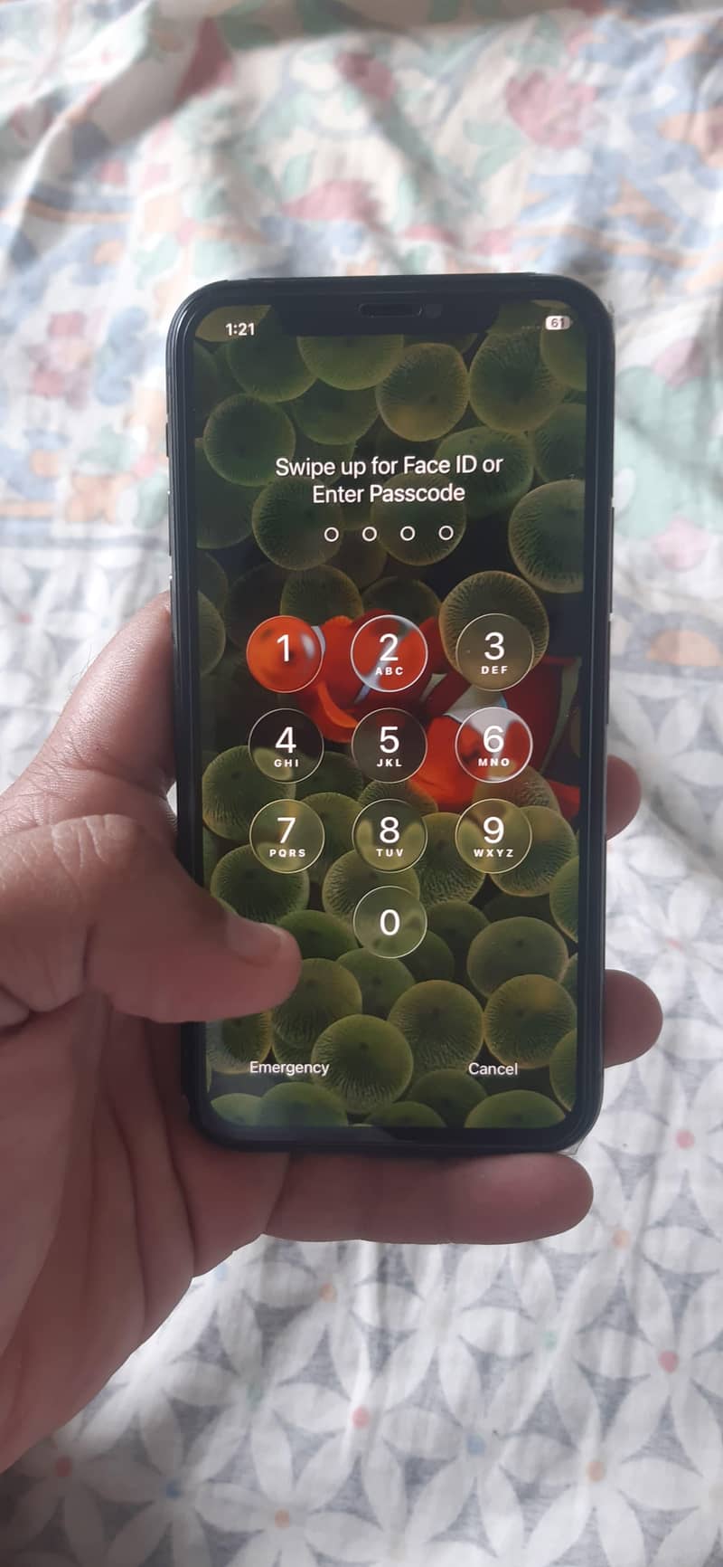 iphone 11 pro 2