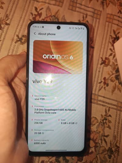 Vivo Y29 8/256