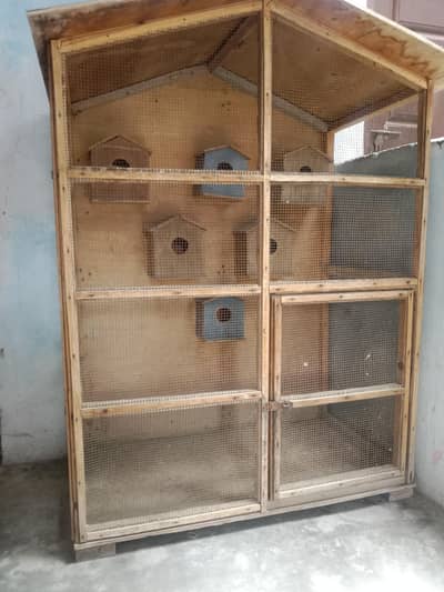 Australin parrot cage