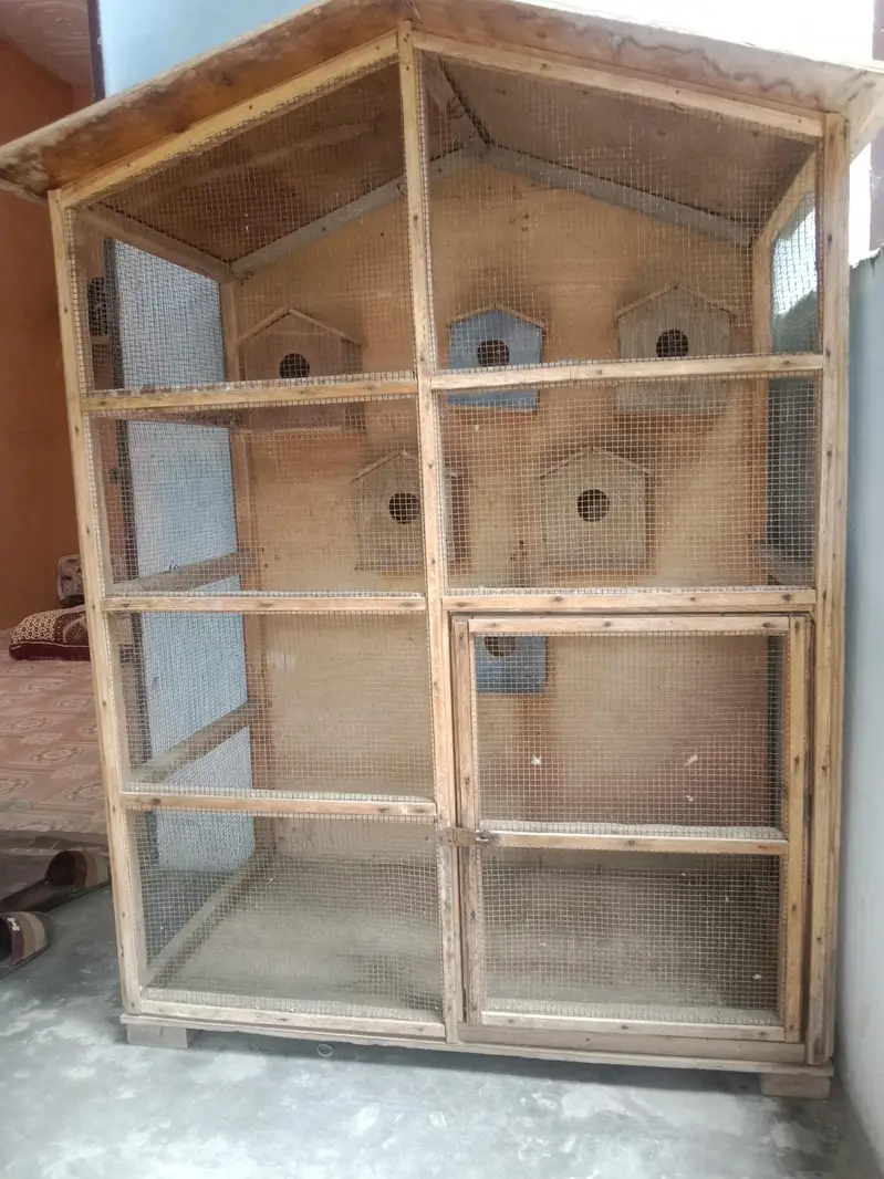 Australin parrot cage — photo 2